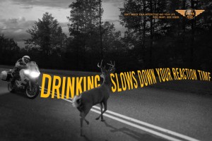 Deer in Road Motorcycle Safety Promotion